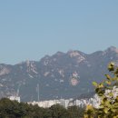 늘처음처럼 이미지