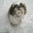 원미구청 이미지