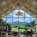 달하우스 이미지