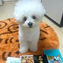 (주)영신에프앤씨 네이버블로그