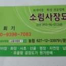 소림사장묘