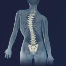 팔머메디스포츠 이미지