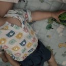 노리파크 철원점 이미지