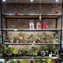 수화 | 사상 꽃집 추천 플라워마켓수화 사상점 꽃바구니 솔직후기