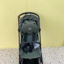 그린크리닝 | 고잔동 부가부(Bugaboo) 버터플라이2 포레스트그린 클리닝 후기 | 킨더클리닝 안산점