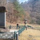 양양 선림원지 삼층석탑 Daum카페