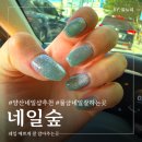 양산 네일샵 추천 물금 네일 잘하는 곳 솔직후기 네일숲