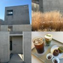 카페울림 | 분당 대형 카페 운중동 내돈내산 후기 소리울림 심함