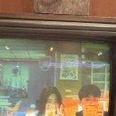 한주빌딩 | 2026, Apr | 봄이 좋아서 돌아다닌 기록