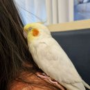 인천계양우체국 이미지