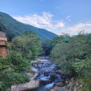 문복산펜션 | 경주캠핑장 놀기 좋은 전원일기펜션오토캠핑장 후기