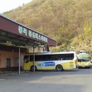 부일천 Daum카페