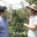 이영길농장 이데일리