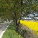 남천제방길 이미지