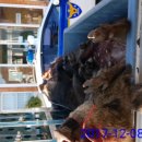 욕지파출소 이미지