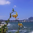 바람불어좋은날 이미지