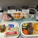 938 | 비엔나 인천 대한항공 KE938 탑승후기 오믈렛 소고기 기내식 제공