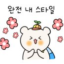 소라인(in)문어 이미지