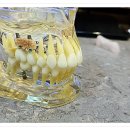 서울삼성치과의원 이미지