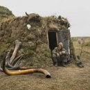 상아배이길 이미지