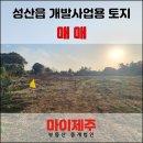 마이제주부동산중개법인 이미지