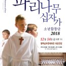 파리나무십자가 소년합창단 이미지