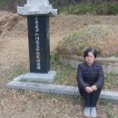 일등농약종묘도매상사 Daum카페