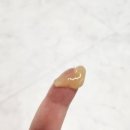 캐터스 이미지