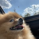 봉곡동물병원 이미지