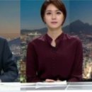 구씨일보
