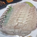 행운수산 | [영흥도 맛집] 영흥도 회포장 '19호 공룡수산' 서울근교 가성비 횟집