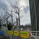 상무자동차공업사 | 자동차 검사 처음 받아봤는데...항목부터 비용까지 정리