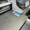 모모의여름 이미지