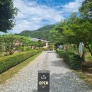 카페유나 | [ 충주카페 ] 자연이 가득한 충주 엄정 카페, 유나의 정원 방문 후기