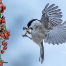 명암약수터 이미지