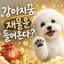 강아지꿈 꾸고 로또 1등? 상황별 길몽 흉몽 총정리