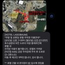 세종호수공원 산책로 | 세종 숙소 세종 가성비 호텔 세종호수공원뷰 라고바움 관광호텔 아이랑 숙박 후기