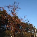 노암주유소 이미지