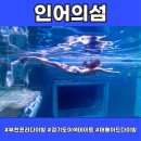 머메이드 다이빙 성남프리다이빙 찐후기 인어의 섬