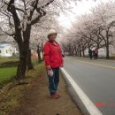 십리벚꽃산장 Daum카페