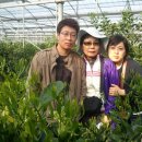 현정이네 농장 이미지