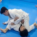 그레이시주짓수수원 | 이희성 주짓수 수원 영통 2개월 수련 후기