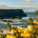 Playa(플라야) 이미지