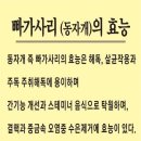 어가본가 네이버블로그