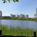 상동호수공원 이미지