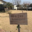 태교여행@제주 11편 - 살롱드라방/강연욱사진관