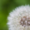 나팔꽃한의원 이미지