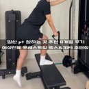 윌 피티 짐 | 일산 pt 잘하는 곳 포레스트짐 주엽점 헬스장 추천