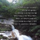 청학산 Daum카페