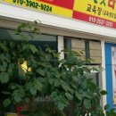 생활속의 사주풀이 이미지